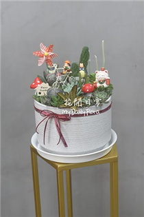 【多肉盆栽】 多肉組合 開運盆栽（淺色盆大款）