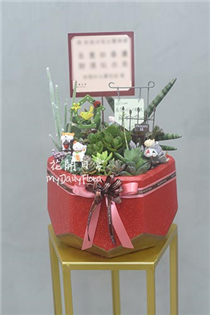 【多肉盆栽】多肉組合盆栽 榮陞喬遷花禮（紅色盆大款）